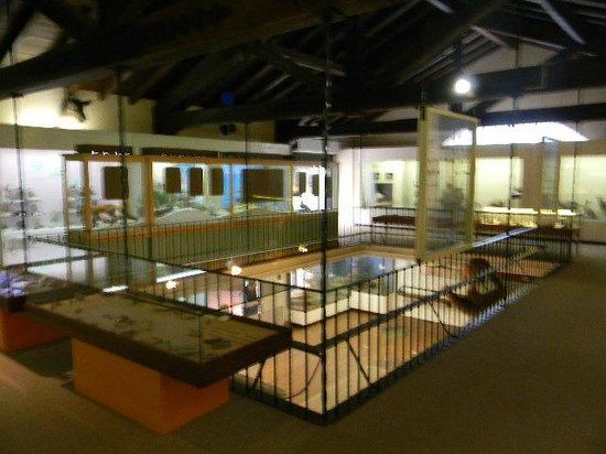 Pacific Grove Museum of Natural History